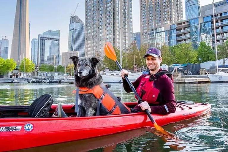 Por que 101 pessoas e uma cadela disputam o cargo de prefeito de Toronto
