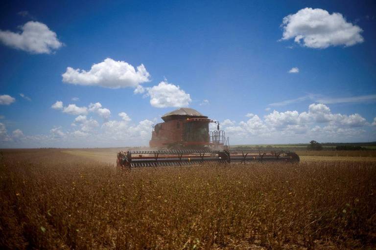 foto mostra colheitadeira em campo de grãos 