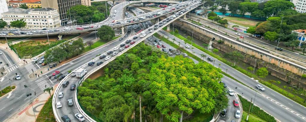 Vista aérea do Bosque das Maritacas, o primeiro a ser implantado pela Prefeitura de São Paulo, em 2019, na avenida do Estado, próximo ao Parque Dom Pedro, com 3.600 m2