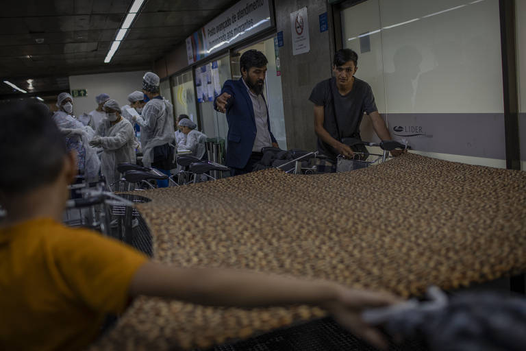 Família arruma sua tenda e, ao fundo, uma equipe médica se prepara para fazer atendimento aos imigrantes