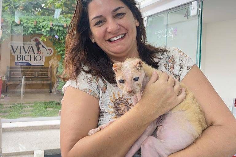 Conheça Eliseu, gato que foi resgatado quase sem vida em Santos