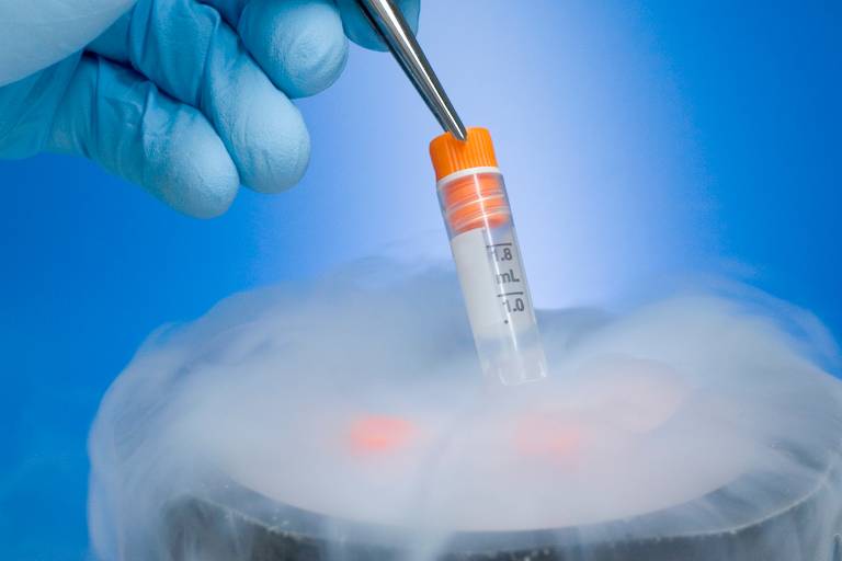 Veja vantagens e riscos do congelamento de embriões