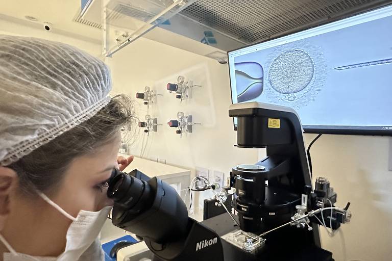 Biomédica olha em microscópio enquanto faz inseminação artificial em um óvulo