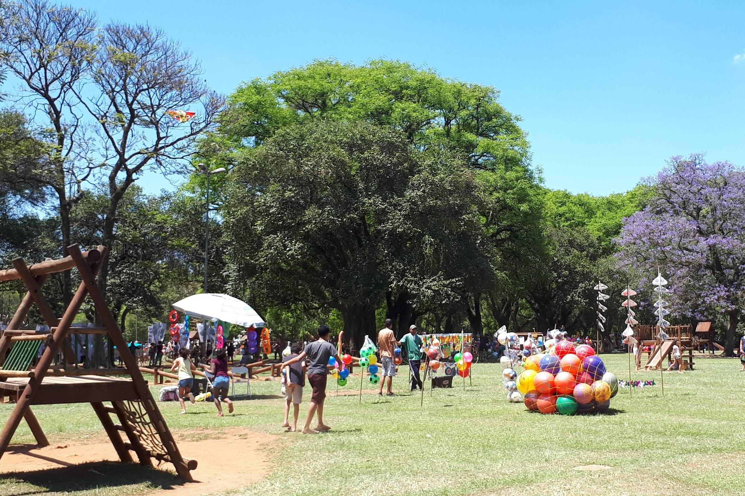 Exposição Sessenta de Sessenta no 60º Aniversário da Árvore - Cultura de  Borla