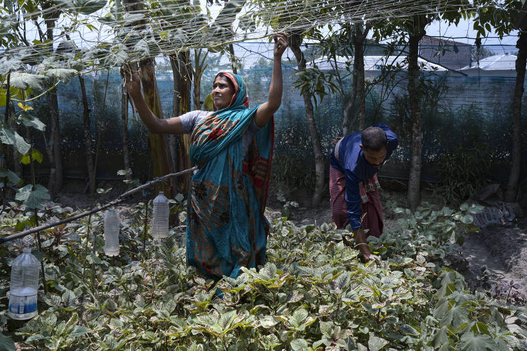Trabalhadores em um jardim de vegetais em Satkhira, sudoeste de Bangladesh, parte da área da floresta de Sundarbans