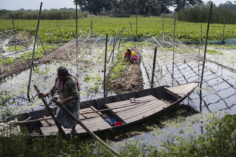 Moradores de Bangladesh convivem com crise hídrica 