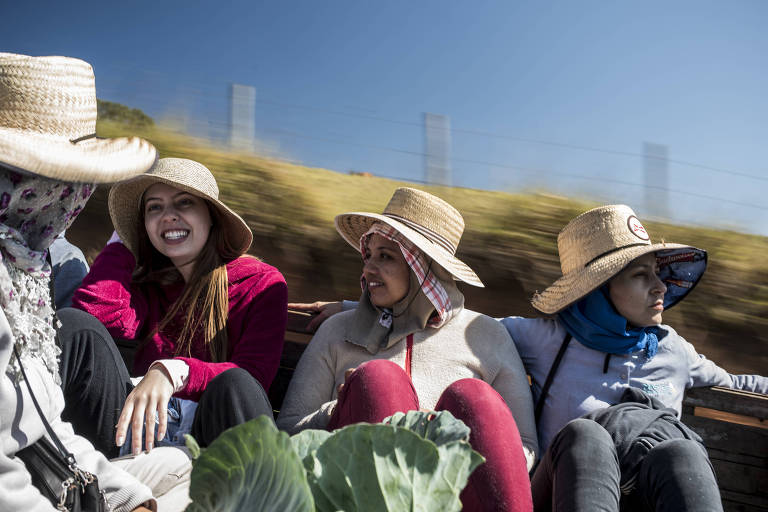 quatro mulheres com roupas de lavoura e chapéu estão dentro de caminhão com mato ao fundo