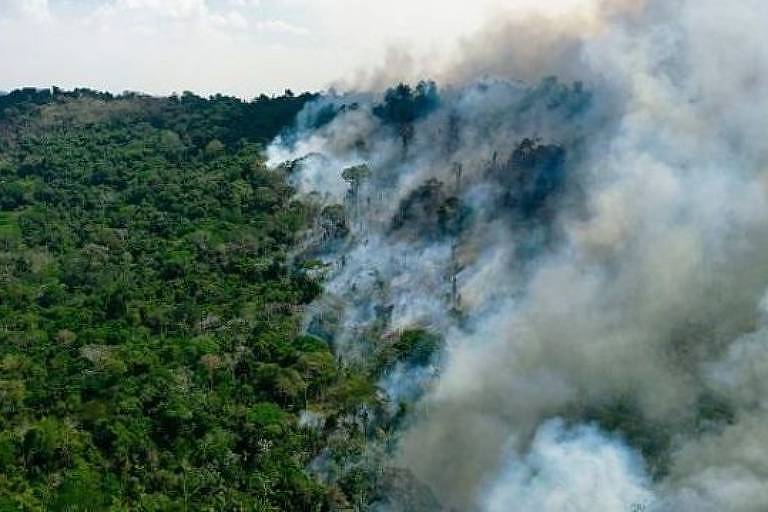Vista aérea de fumaça em meio à floresta amazônica
