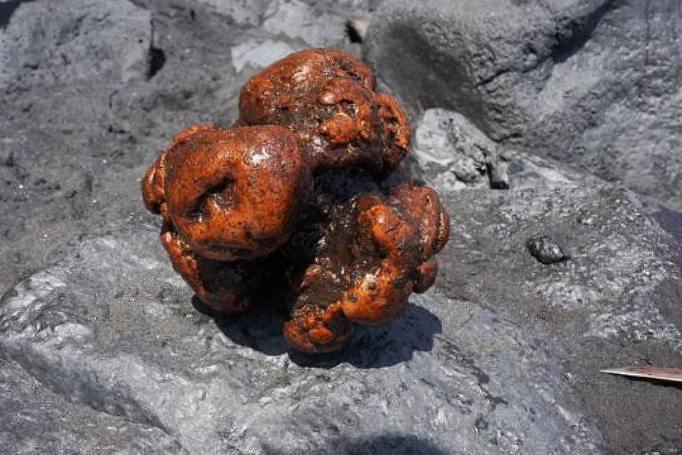 A pedra de meio milhão de dólares encontrada em cachalote morto
