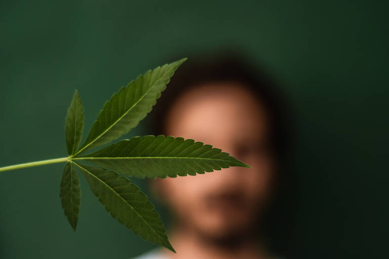 Governo de São Paulo publica decreto e regulamenta lei que prevê fornecimento de remédios à base de cannabis no SUS