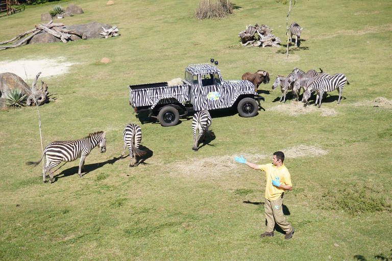 Animália Park abre para o público nesta sexta-feira - 05/07/2023 - Passeios  - Guia Folha