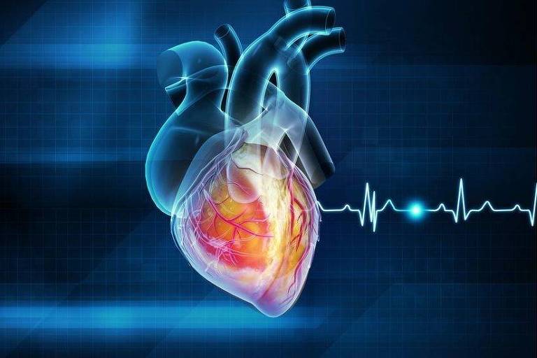 Colesterol alto, obesidade, sedentarismo e alimentação inadequada estão entre os fatores de risco cardíaco
