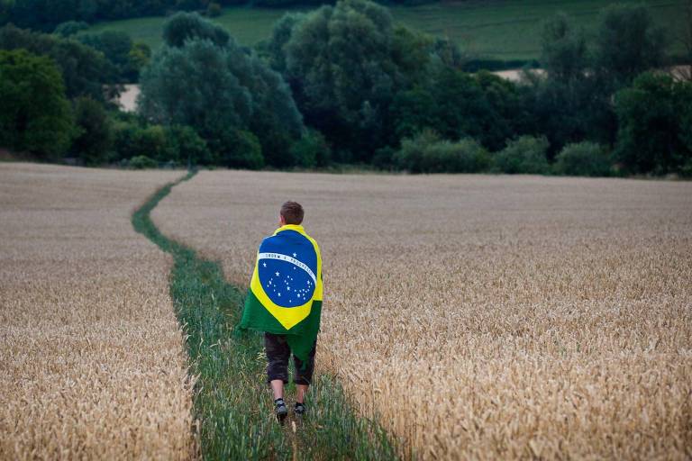 Homem caminha ao longo do caminho no campo de milho envolto na bandeira do Brasil