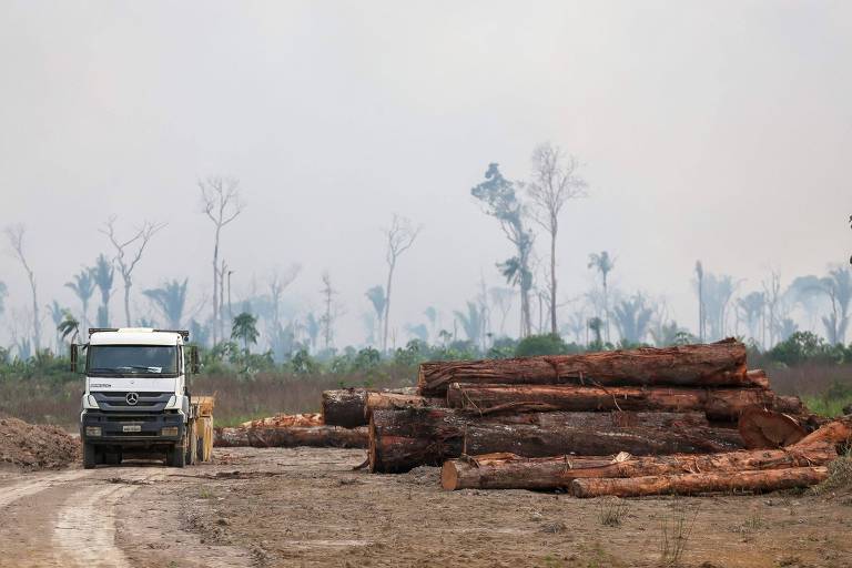 Exportação de madeira cai, compra de agrotóxicos recua e agro adquire mais da Venezuela