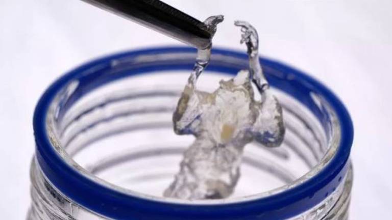 Com uma pinça, cientista tira um rato transparente de dentro de um recipiente de vidro