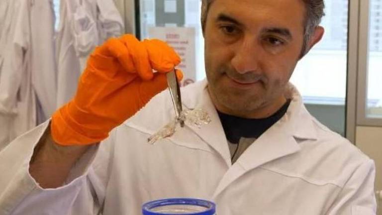Ali Ertürk descobriu como tornar um camundongo transparente em 2018 e, desde então, aperfeiçoou o método