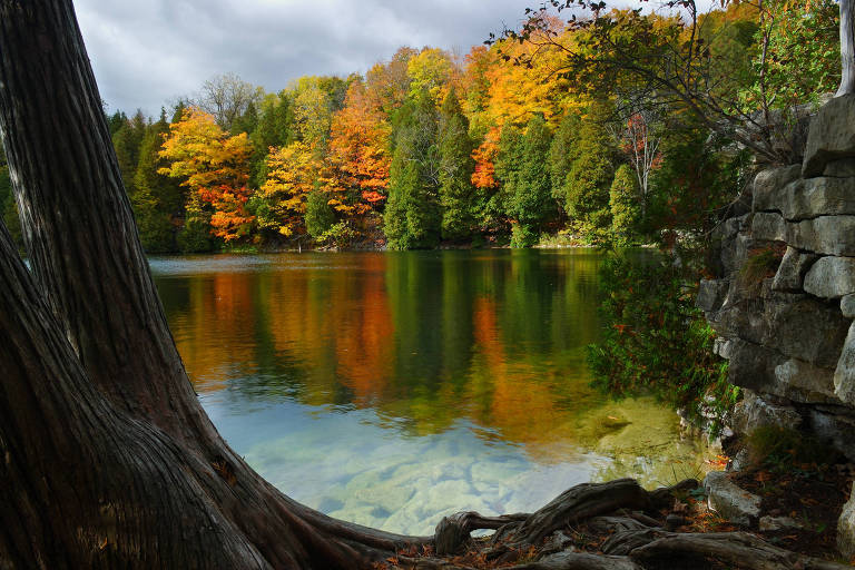Árvores com as folhas amareladas pelo outono circundam lago de águas transparentes