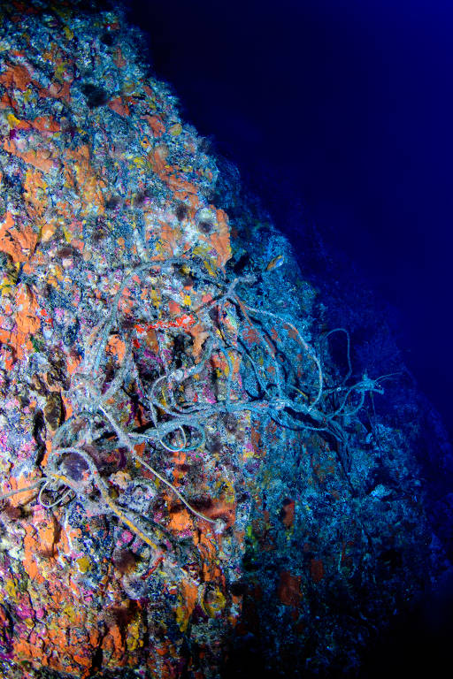 Pedaço de rede plástica encontrada a 80 metros de profundidade no arquipélago de São Paulo, na costa do Brasil, um dos conjuntos de ilhas mais remotos do mundo