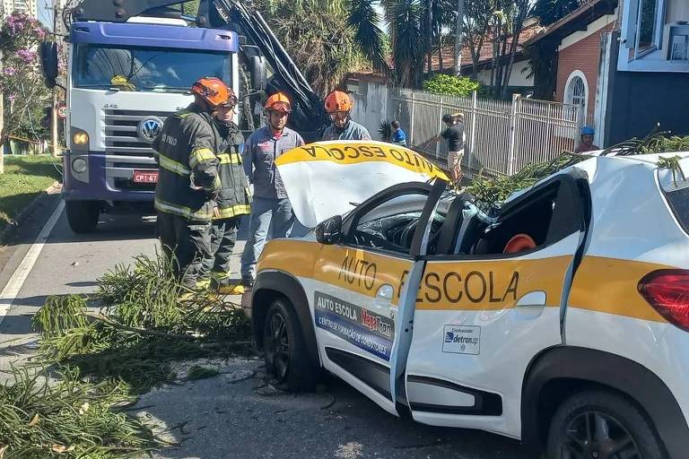 Árvore caiu sobre carro onde estava uma mulher de 24 anos em São José dos Campos (SP); ela acabou morrendo no hospital