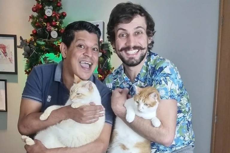 'Assembleia felina' e TV Gato viralizam em canal de casal paranaense