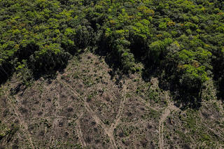 FILE PHOTO: An aerial view shows a deforested plot of the Amazon rainforest in Manaus