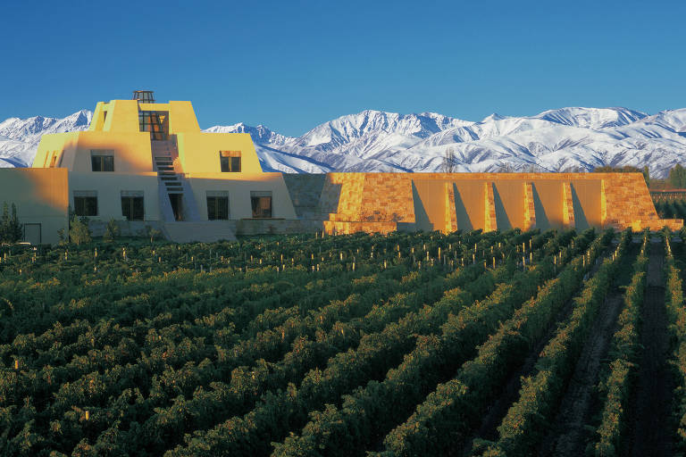 As melhores vinícolas do mundo para o turismo