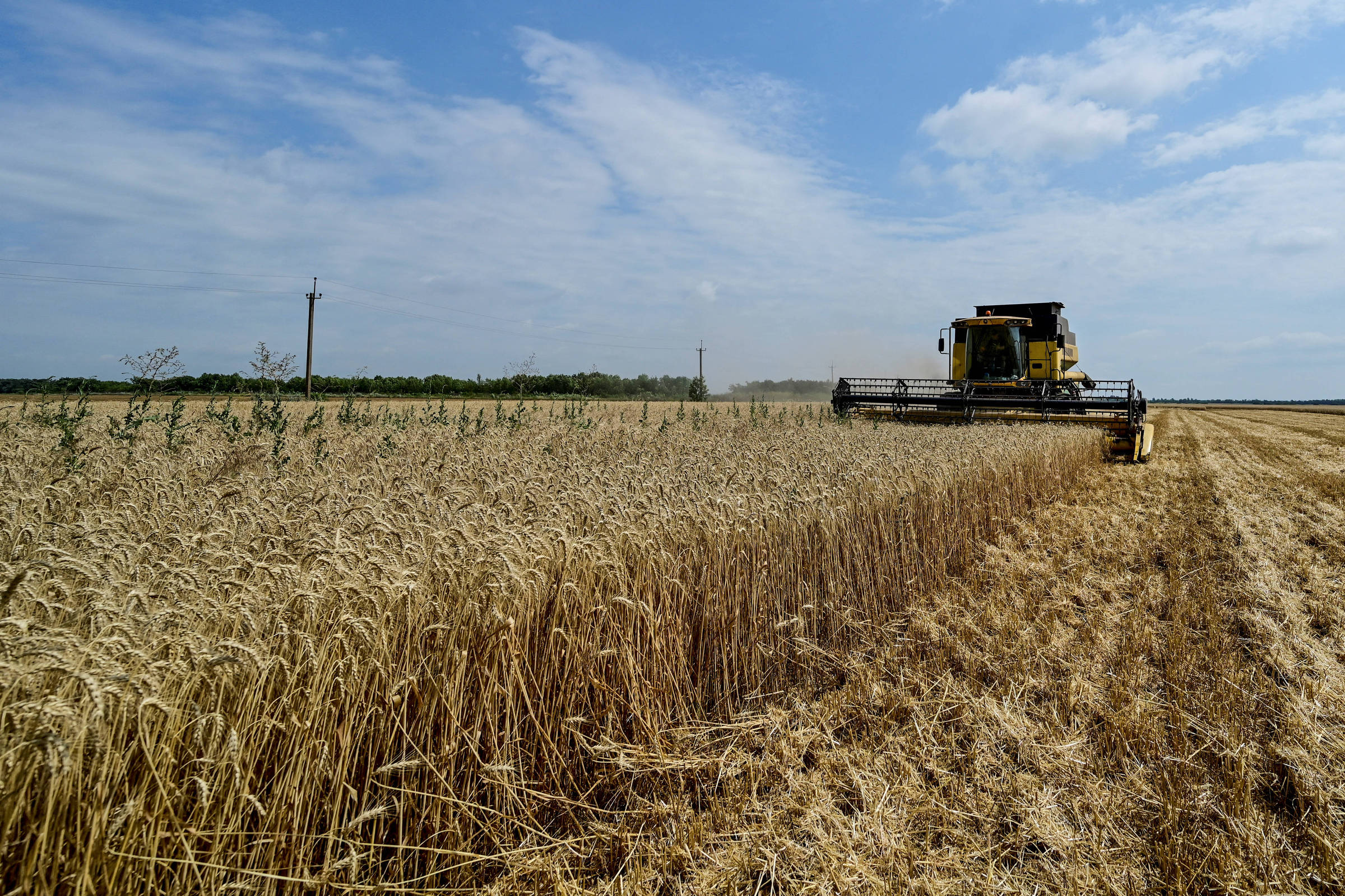 Why the end of the Russia-Ukraine grain deal affects global food prices – 07/17/2023 – Market