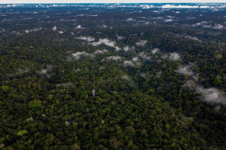 Campanha quer lotar emails do governo Lula para pressioná-lo contra exploração de petróleo na Foz do Amazonas