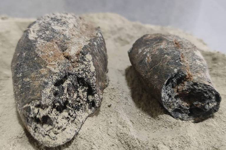Pesquisadores encontraram um pão inteiro e outro em pedaço, ambos mumificados, durante escavação em Campo Formoso (BA)