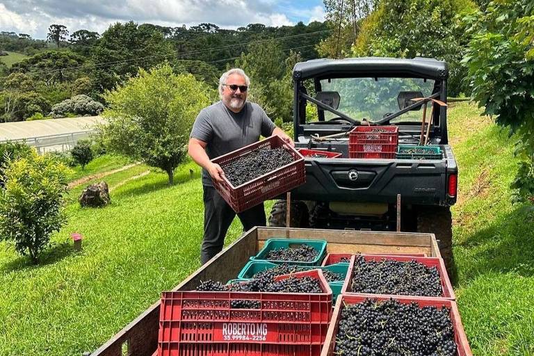 Homem carrega caixas cheias de uva