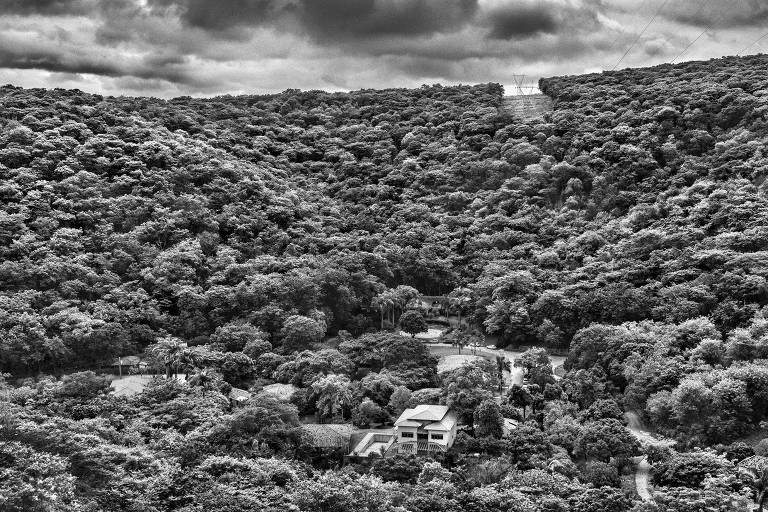 Foto em preto e branco de vale coberto de floresta