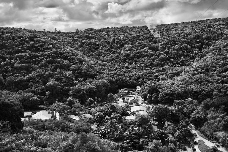 Vista de vale com floresta, em foto preto e branca