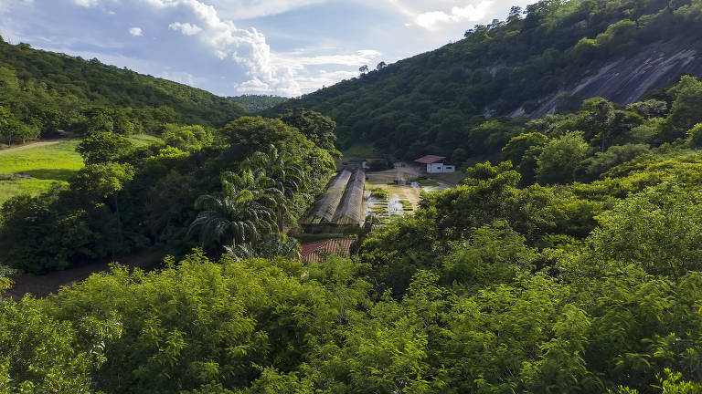 A Fazenda Bulcão funciona como RPPN (Reserva Particular de Patrimônio Natural); nesta foto, é possível ver o viveiro onde são guardadas mudas de espécies nativas da mata atlântica