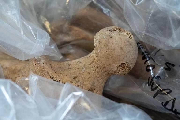 Descobertas revelam a vida antes da erupção em Pompeia - 20/07
