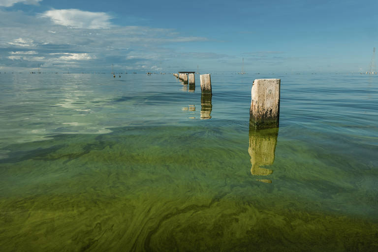 Manchas de óleo nas águas do lago Maracaibo