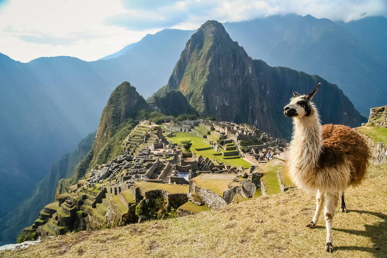 Llama em Machu Picchu