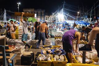 Tubarões e raias são vendidos no maior mercado da Amazônia 