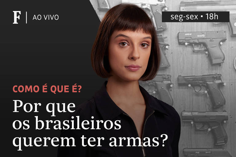 Por que os brasileiros querem ter armas?