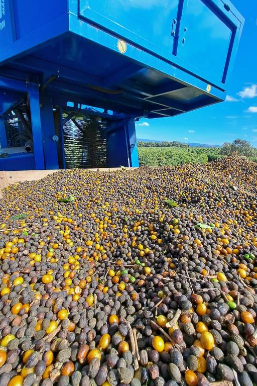 Café produzido em Monte Santo de Minas (MG) por Amarildo José de Araujo, que preside associação rural