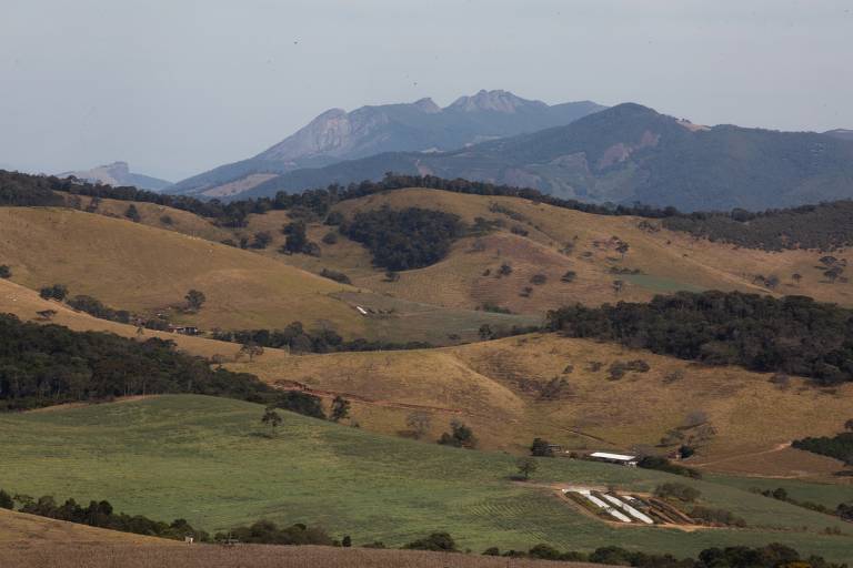 Café é produzido em regiões com altitudes superiores a 1.300 m em relação ao nível do mar no interior de Minas