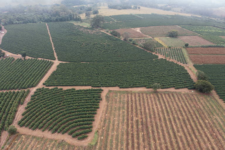 Vista aérea de lavoura cafeeira em Muzambinho, cidade do interior de Minas