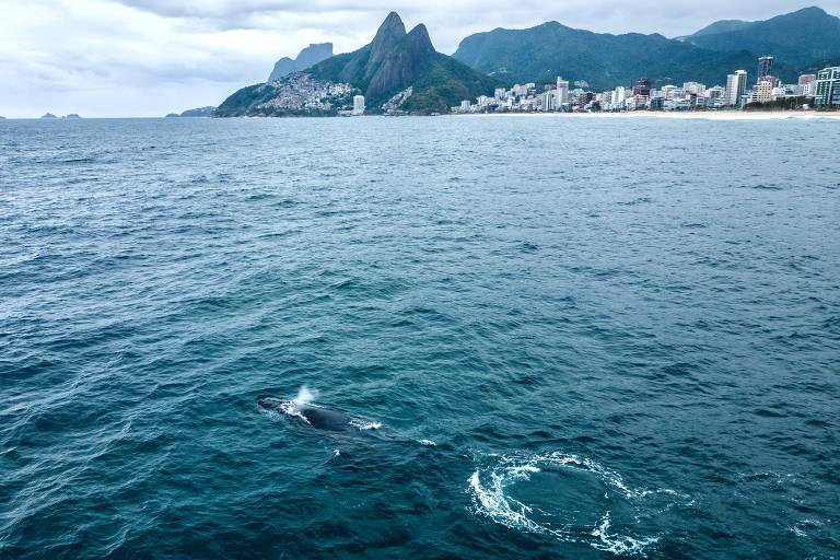 Vulcão expele lava em região na Indonésia; veja fotos de hoje