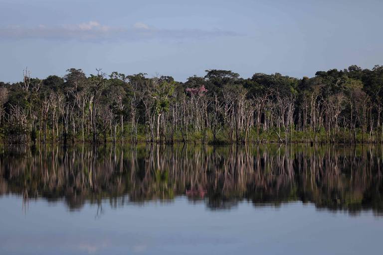 PL do Senado americano não prevê a internacionalização da Amazônia