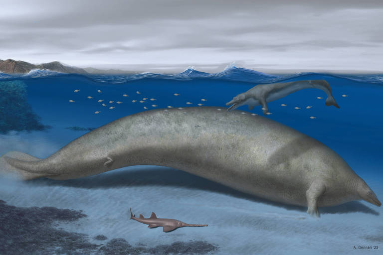 Fóssil encontrado no Peru pode ter sido de animal mais pesado já registrado na Terra