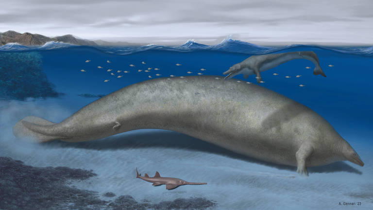 Concepção artística da 'Perucetus colossus', uma baleia primitiva do Peru que viveu cerca de 38 a 40 milhões de anos atrás, um mamífero marinho construído um pouco como um peixe-boi que pode ter excedido a massa da baleia azul
