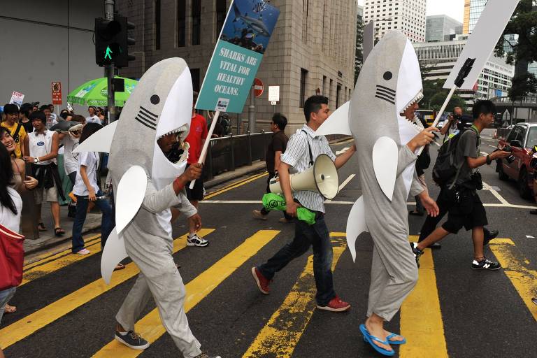 Manifestantes vestidos de tubarão protestam contra governo de Hong Kong em defesa aos direitos dos animais com cartazes