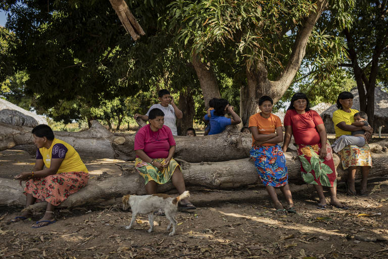 Indígenas xavantes reunidas para receber orientações de técnico da Funai sobre o manejo de sementes nativas na aldeia Caçula, em Canarana