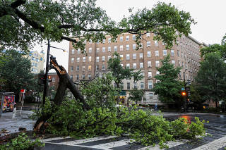 A view of a fallen tree during stormy weather, in Washington, D.C