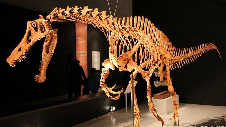 Esqueleto completo do dinossauro 'Irritator challengeri', que está sob a guarda do Museu de História Natural de Stuttgart, na Alemanha