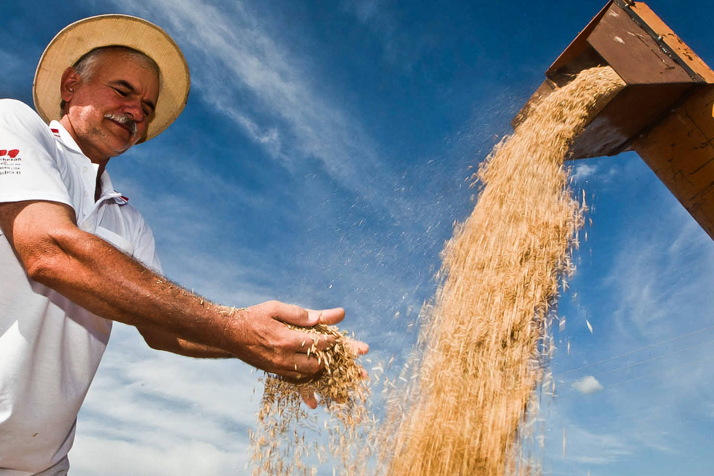 Arroz, que perde área para soja, agora tem disputa com pecuária